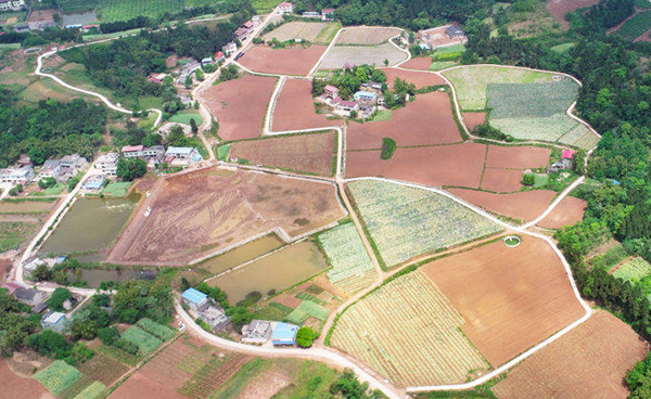 田成塊地成形 簡陽高標準農田促進農業提質增效_fororder_高標準農田建設項目