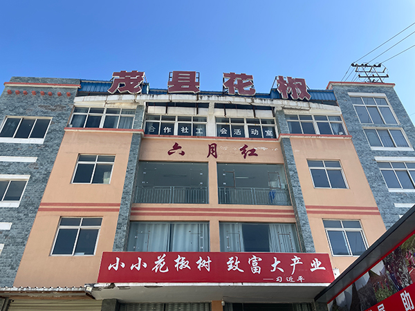 鄉村振興看阿壩｜茂縣發展花椒産業 助力高半山鄉村振興_fororder_茂縣六月紅花椒專業合作社-供圖-中共阿壩州委網信辦1