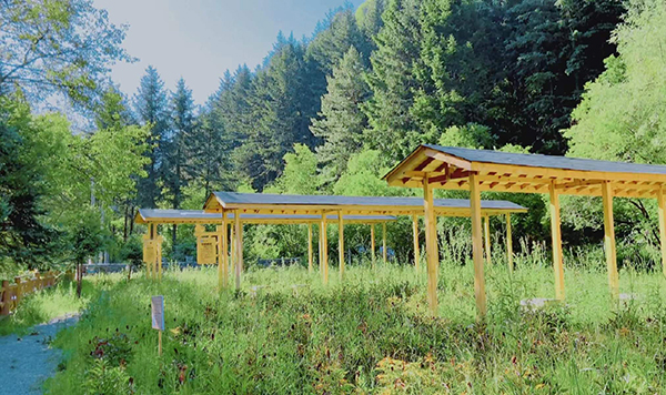 鄉村振興看阿壩｜“小蜜蜂大産業”黑水縣充分利用資源優勢 助力蜂農增收致富_fororder_黑水中蜂歐盟有機標準場-供圖-中共阿壩州委網信辦
