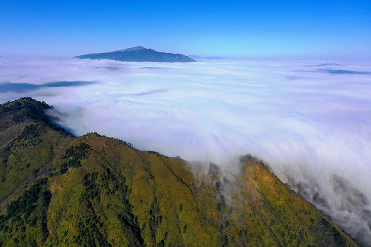 鏡頭下的大涼山丨涼山州成立70週年縣市風采——美姑縣_fororder_美姑縣旅遊資源豐富，圖為大風頂國家級自然保護區的雲海。阿牛史日攝