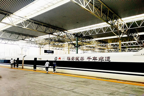 雅安：乘坐冠名高鐵再出發 開啟“雅安藏茶”新征程_fororder_雅安藏茶冠名的高鐵列車-供圖-雅安市委宣傳部(1)