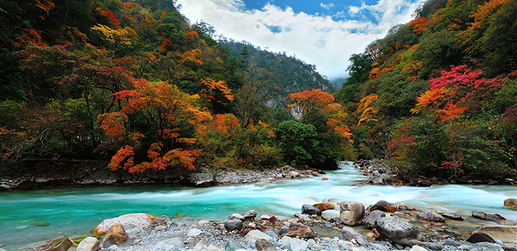 2022四川紅葉生態旅遊節分會場暨寶興夾金山第十一屆紅葉節啟幕_fororder_寶興紅葉彩林-攝影-高華康(1)