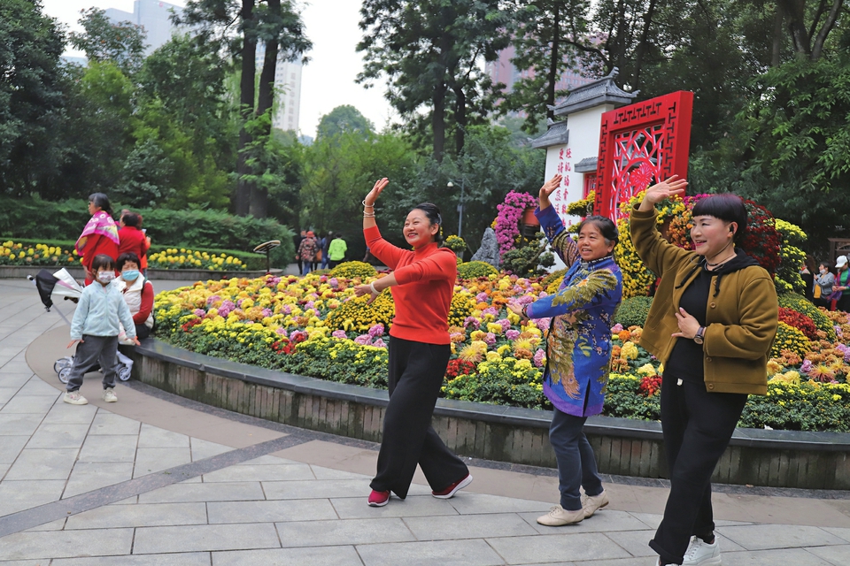 （轉載）芳菊鬱金黃 秋色耀蓉城