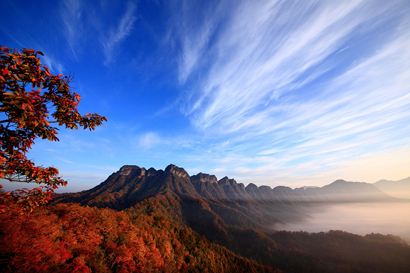 第二十屆四川光霧山國際紅葉節將於11月1日開幕_fororder_光霧山—秋