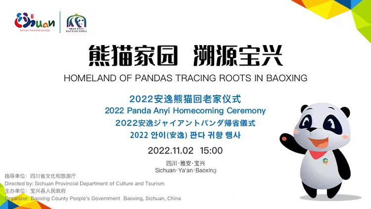“熊貓家園 溯源寶興”——2022安逸熊貓回老家儀式將進行多語種直播_fororder_800