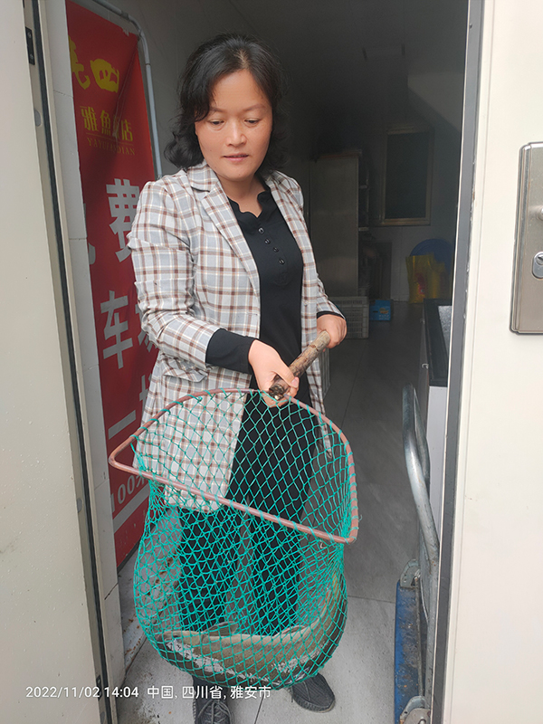 雅安李仙：爭取將雅魚飯店做成百年傳承飯店_fororder_李仙正準備將雅魚帶去廚房烹飪--攝影--方秦