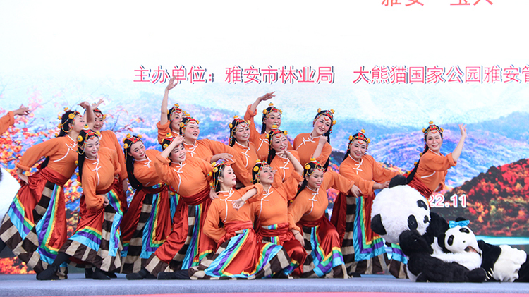 2022四川紅葉生態旅遊節分會場暨寶興夾金山第十一屆紅葉節啟幕_fororder_活動現場-攝影-劉浪濤-(2)