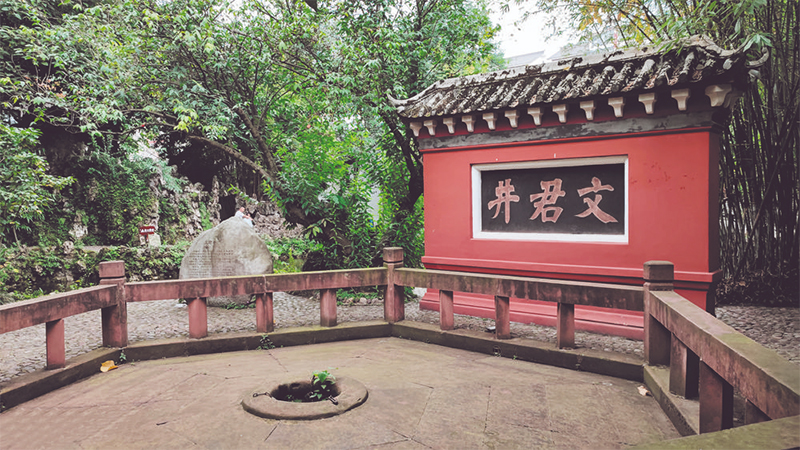 （轉載）尋琴記 音樂之都響初聲_fororder_未標題-2