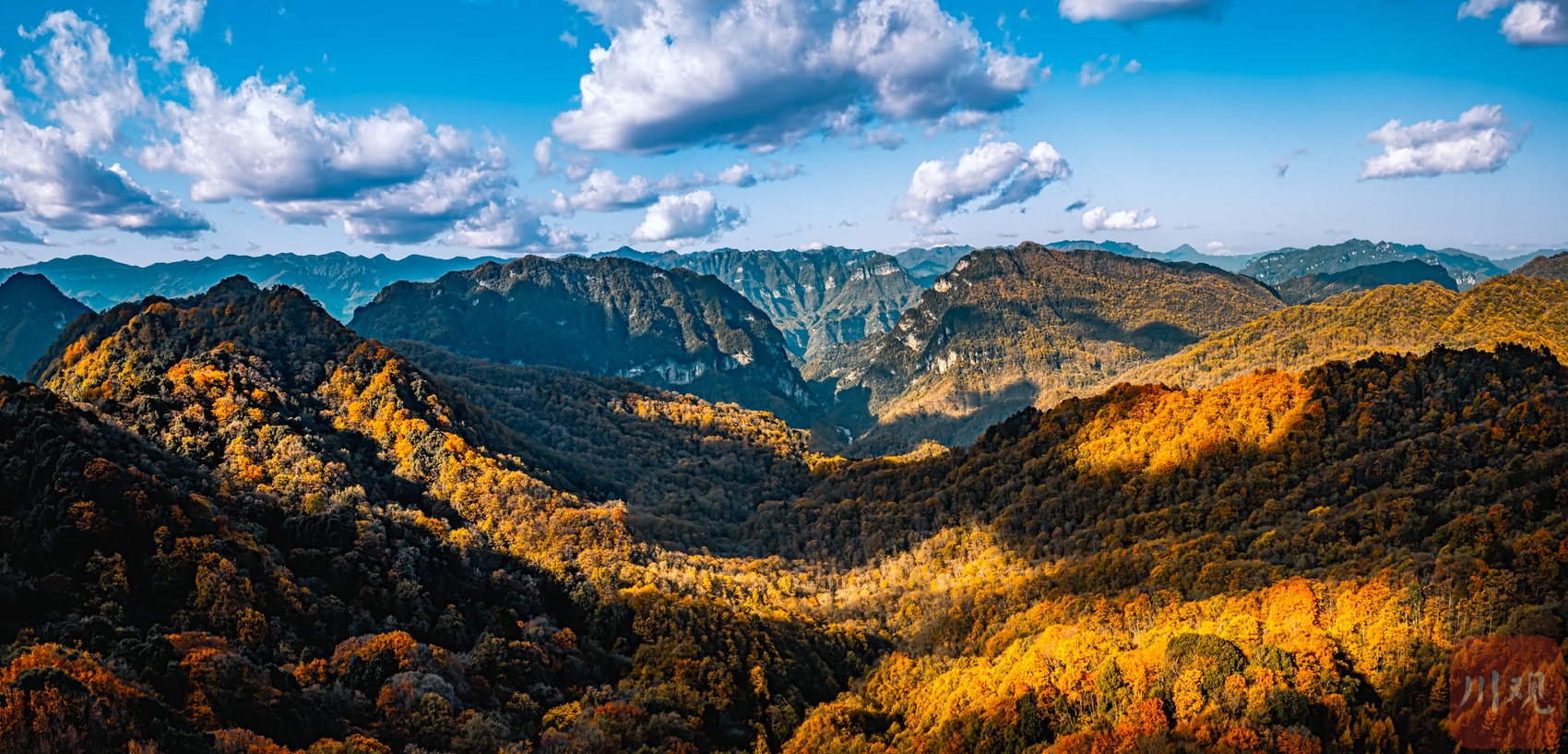 （轉載）秋色醉人 光霧山漫山紅葉似仙境油畫