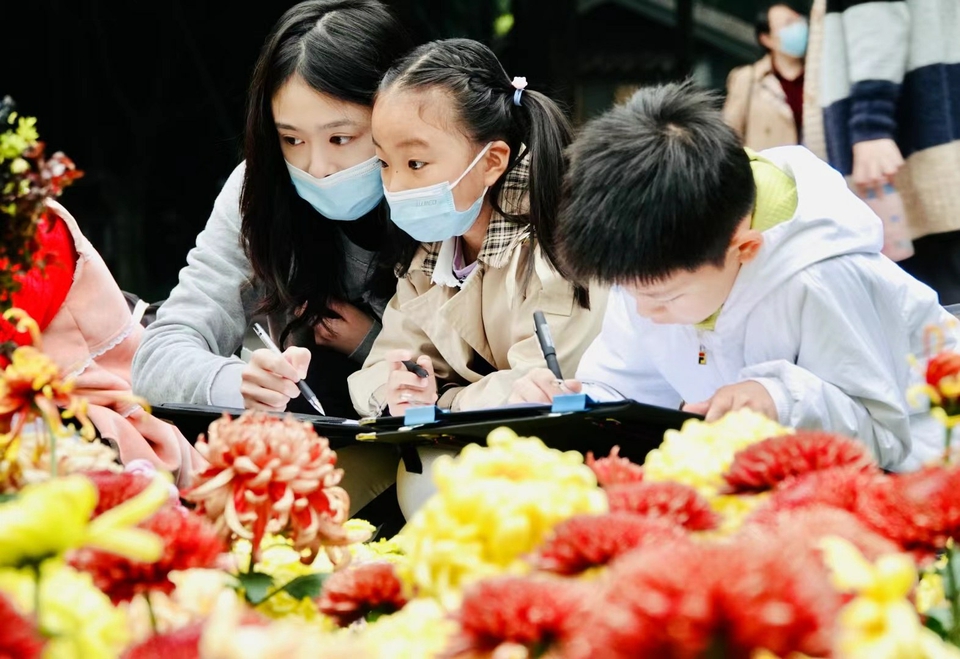（轉載）芳菊鬱金黃 秋色耀蓉城