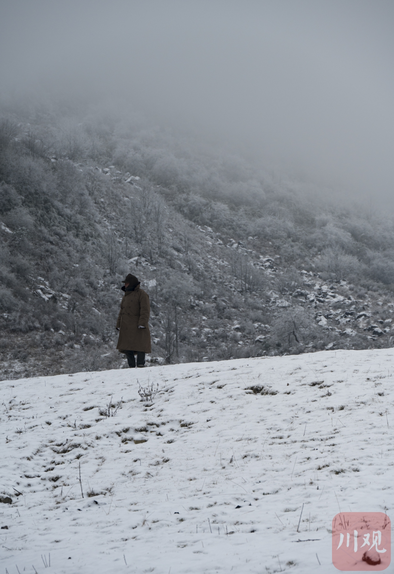 （轉載）涼山小相嶺迎降雪 滿眼北國風光
