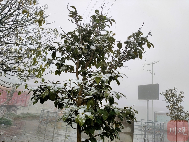 （轉載）好冷！綿陽安州千佛鎮降下今冬第一場雪