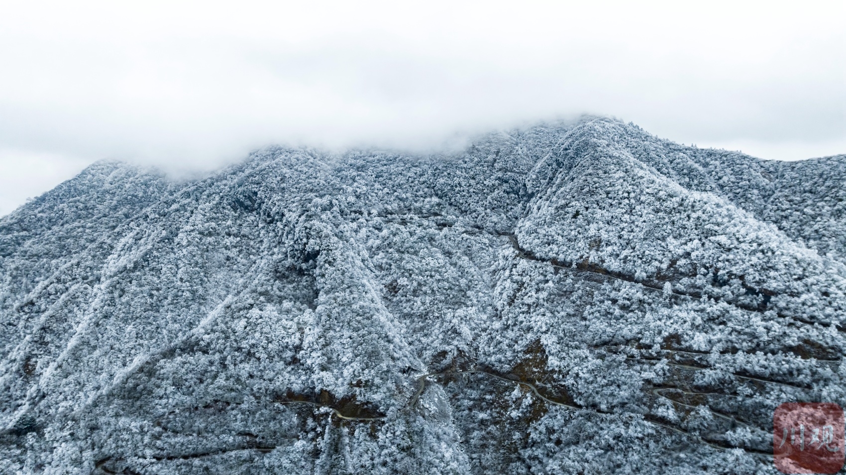 （轉載）玉樹瓊枝裹銀裝 綿陽千佛山成冰雪仙境