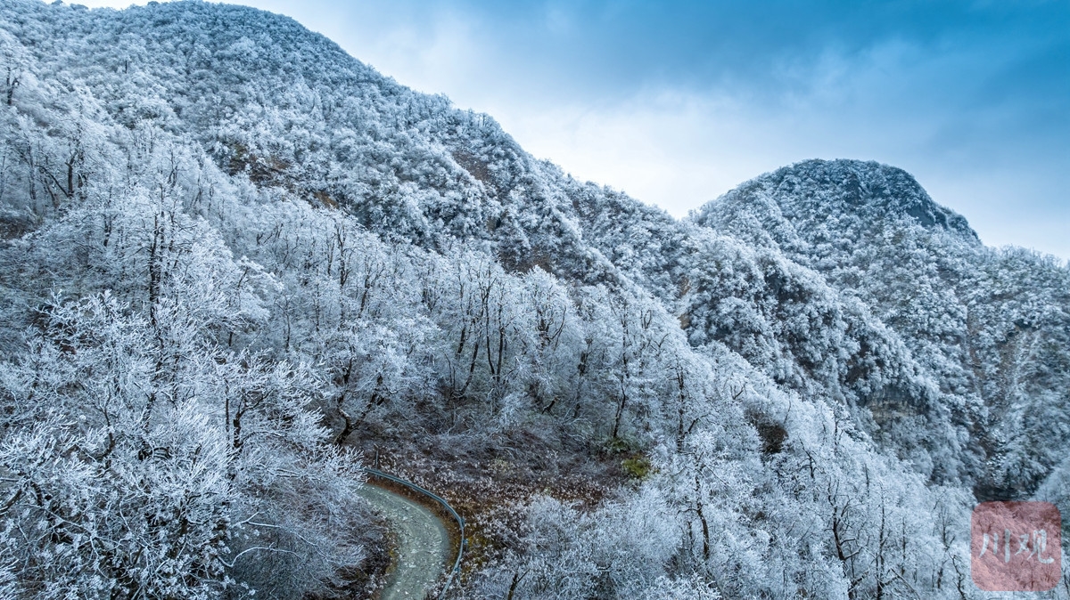 （轉載）玉樹瓊枝裹銀裝 綿陽千佛山成冰雪仙境