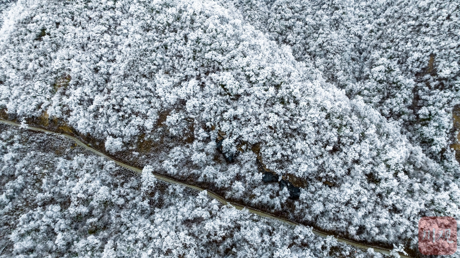 （轉載）玉樹瓊枝裹銀裝 綿陽千佛山成冰雪仙境