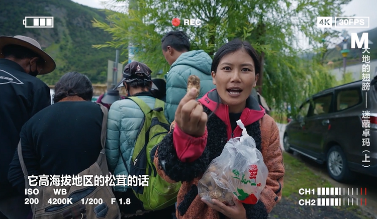 （轉載）《大地的翅膀》第一集：迷藏卓瑪（上）
