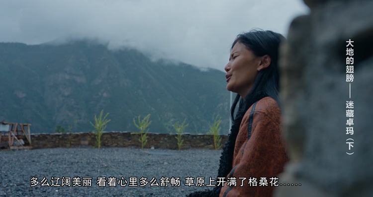 （轉載）《大地的翅膀》第二集：迷藏卓瑪（下）