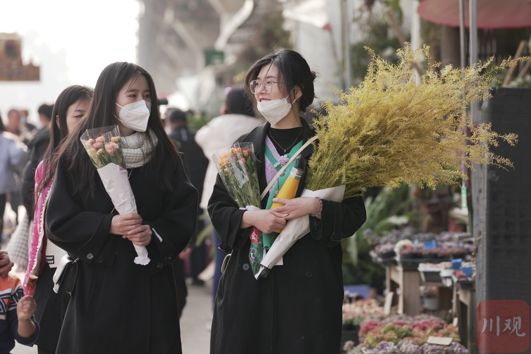 （轉載）百花爭艷鬧新春 把不遠的春天帶回家