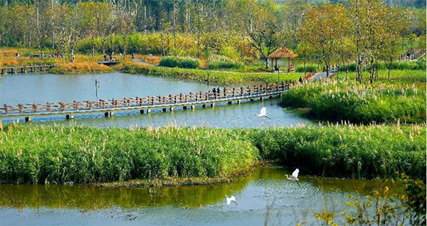成都市首屆“最美公園”評選結果出爐_fororder_未標題-2