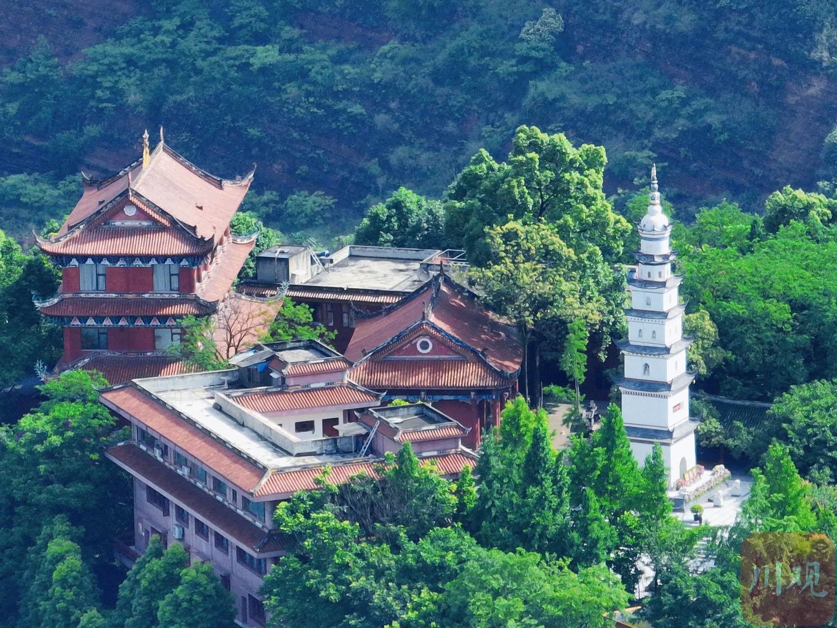 （轉載）崇州白塔湖 早春湖畔上“彩粧”