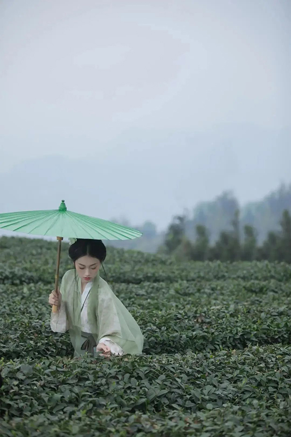 組圖｜雅安名山：我與春天有個約會_fororder_蒙頂山淩雲臺茶園-供圖-名山區委宣傳部（1）