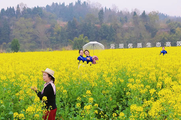 2023年資陽大足雙城農文旅聯動暨第二屆安岳元壩油菜花賞花活動開幕_fororder_安岳千畝油菜花-供圖-安岳縣委宣傳部（1）