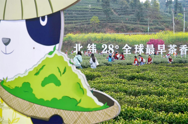 探究瀘州納溪振興鄉村的密碼_fororder_未標題-4