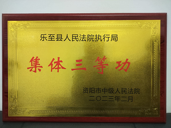 （張）資陽樂至張磊：群眾之事無小事_fororder_集體三等功榮譽-供圖-樂至縣人民法院執行局