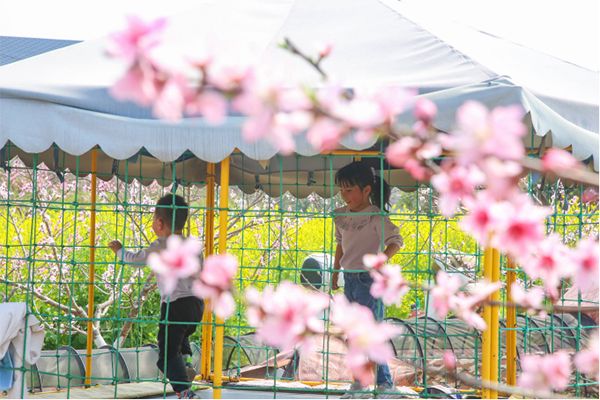 瀘州市龍馬潭區：一場鄉村馬拉松，能為鄉村帶來什麼？_fororder_未標題-5
