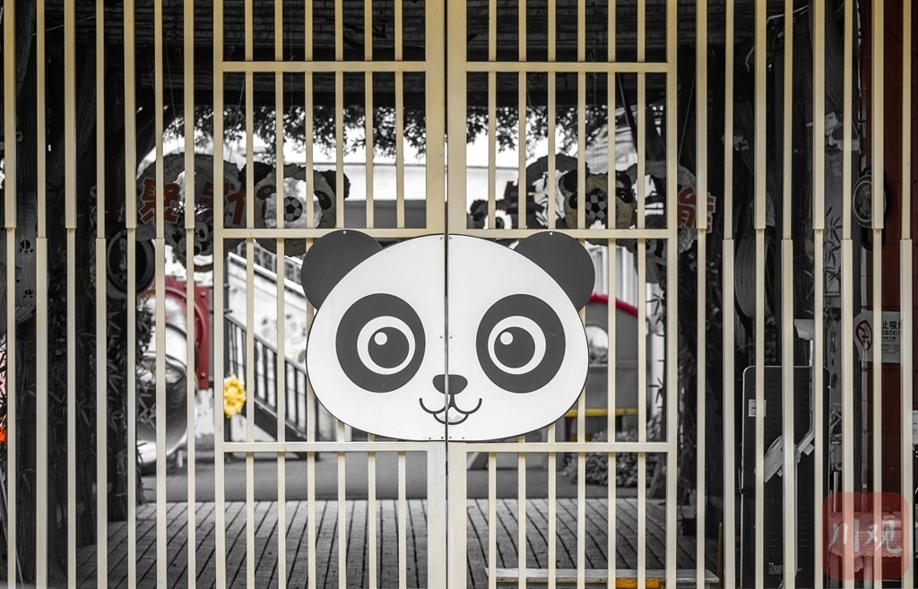 （轉載）邊走邊拍⑥ 來成都街頭與“大熊貓”偶遇