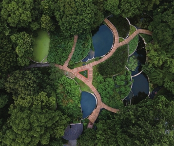 （轉載）鏡頭中的成都市最美公園