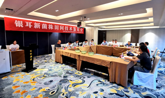 通江銀耳新菌株通過省級田間技術鑒定_fororder_未標題-2