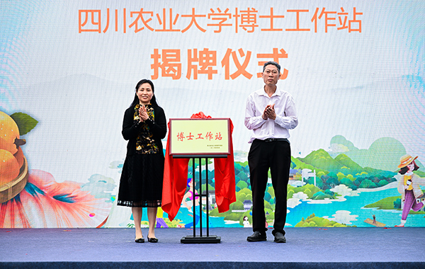 （張）開啟立夏嘗新新世界 自貢榮縣枇杷第三屆文旅季活動開幕_fororder_3四川農業大學博士工作站授牌（攝影-廖志全）