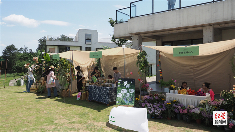 （轉載）“四季蒲江” 免費遊！成都蒲江明月村邀您一起“集市”行樂