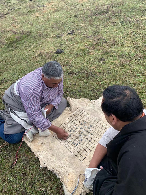 第十一屆全國藏棋比賽將在四川阿壩縣開幕_fororder_牧民在草原上切磋棋藝-供圖-阿壩縣委宣傳部