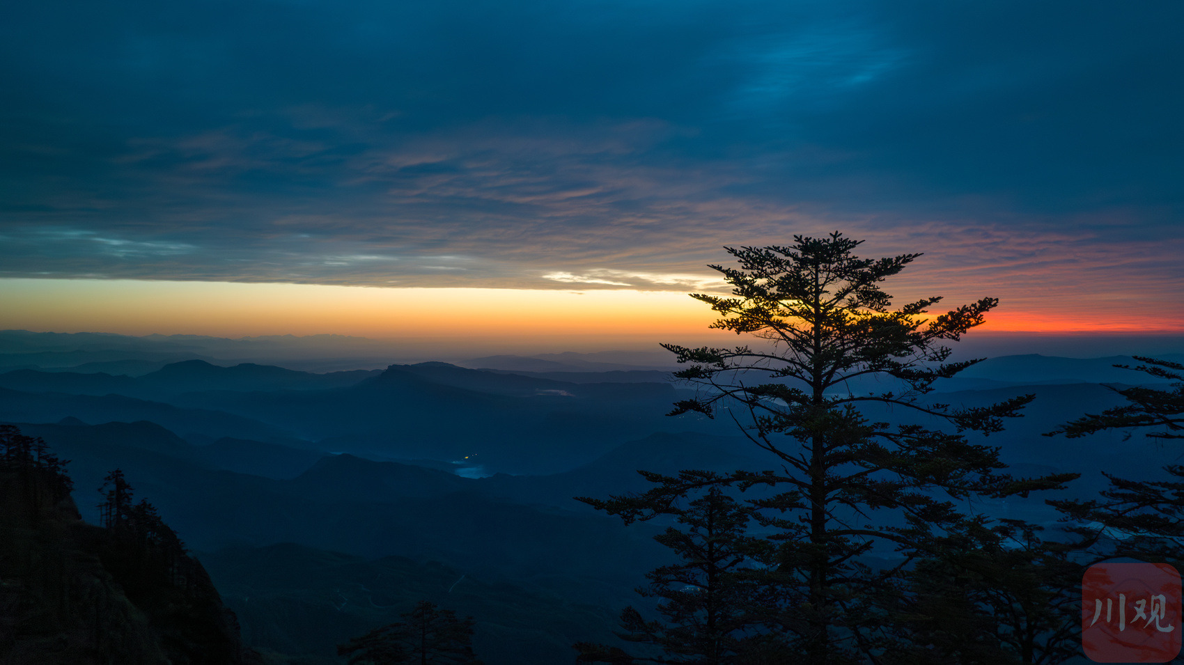 （轉載）看雪山、賞杜鵑、珙桐花 初夏的瓦屋山風景獨美