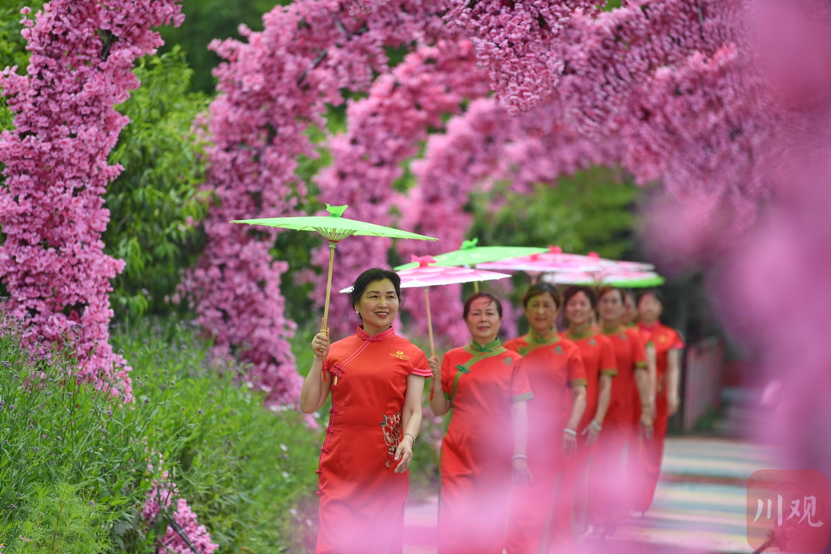 （轉載）成都：荷花迎來最佳觀賞期 鄉村美景引客來