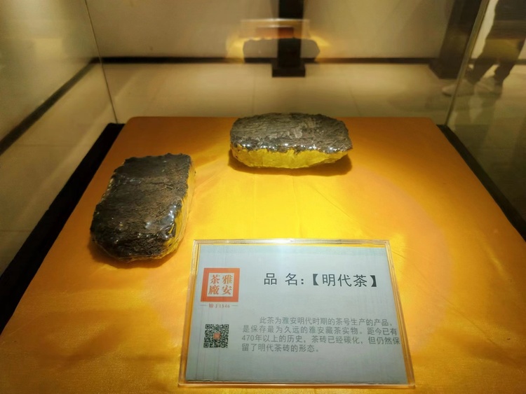 （張）聚焦雅安 探尋川藏經濟協作試驗區建設_fororder_雅安藏茶 攝影 方秦