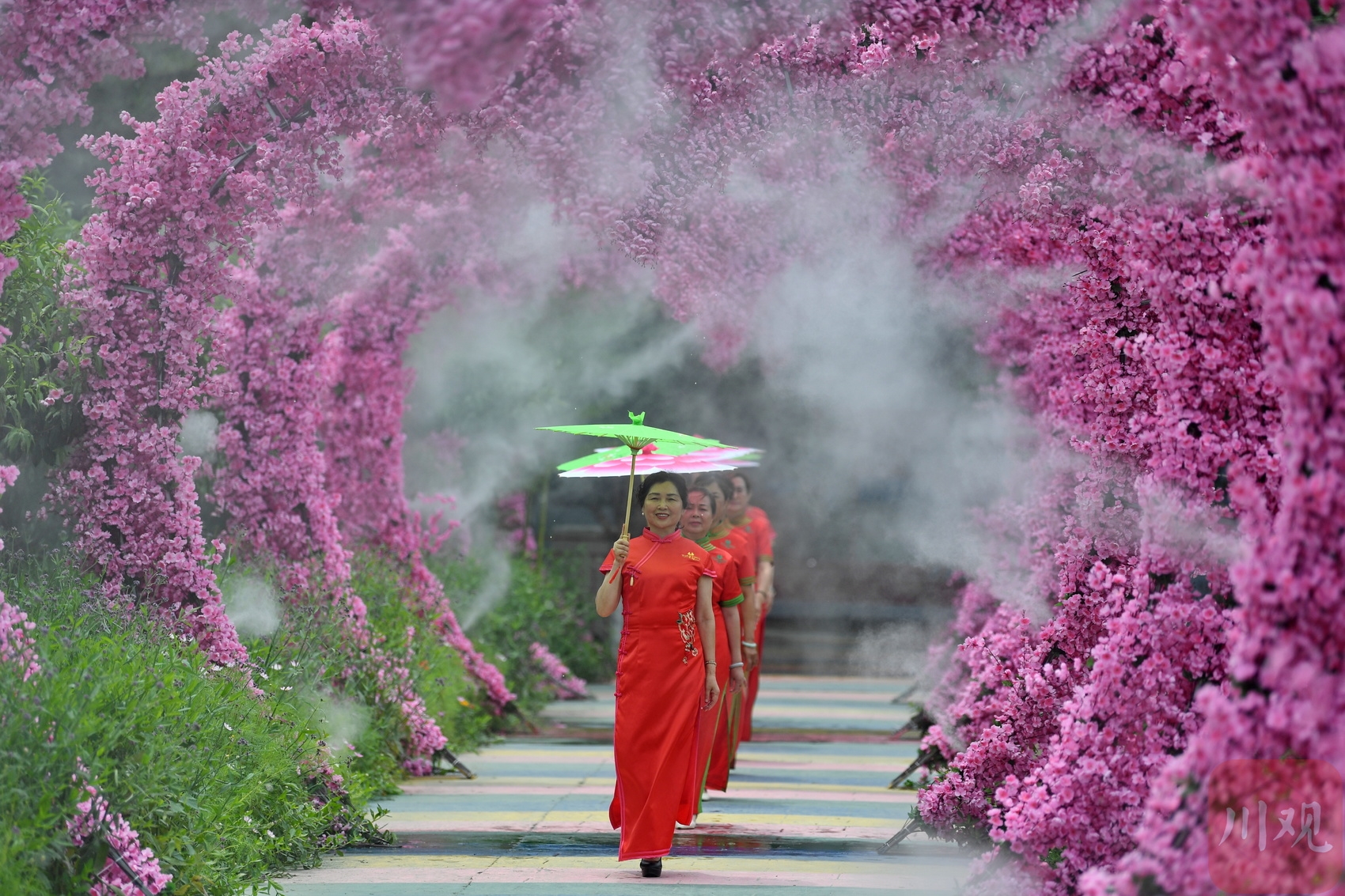 （轉載）成都：荷花迎來最佳觀賞期 鄉村美景引客來