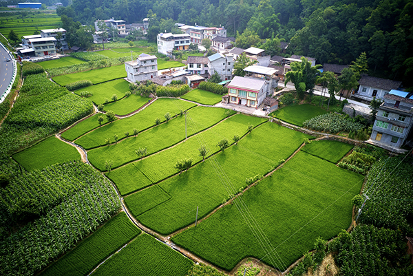 綿陽平武：夏日鄉村綠意盎然 田園風光如詩如畫_fororder_DJI_0732_副本_副本