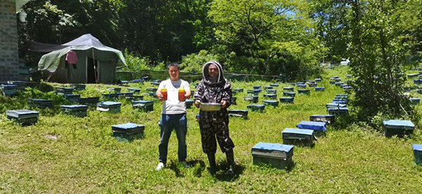廣元青川縣：9.6萬蜂群進入釀蜜期 “甜蜜事業”助力鄉村振興_fororder_採摘蜂蜜3