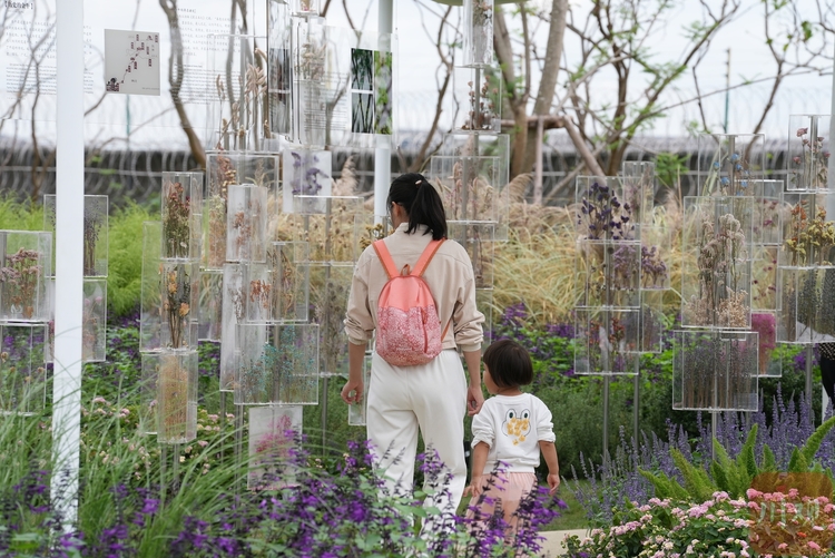 （轉載）逛2023成都花展 40余個花園等你一一打卡