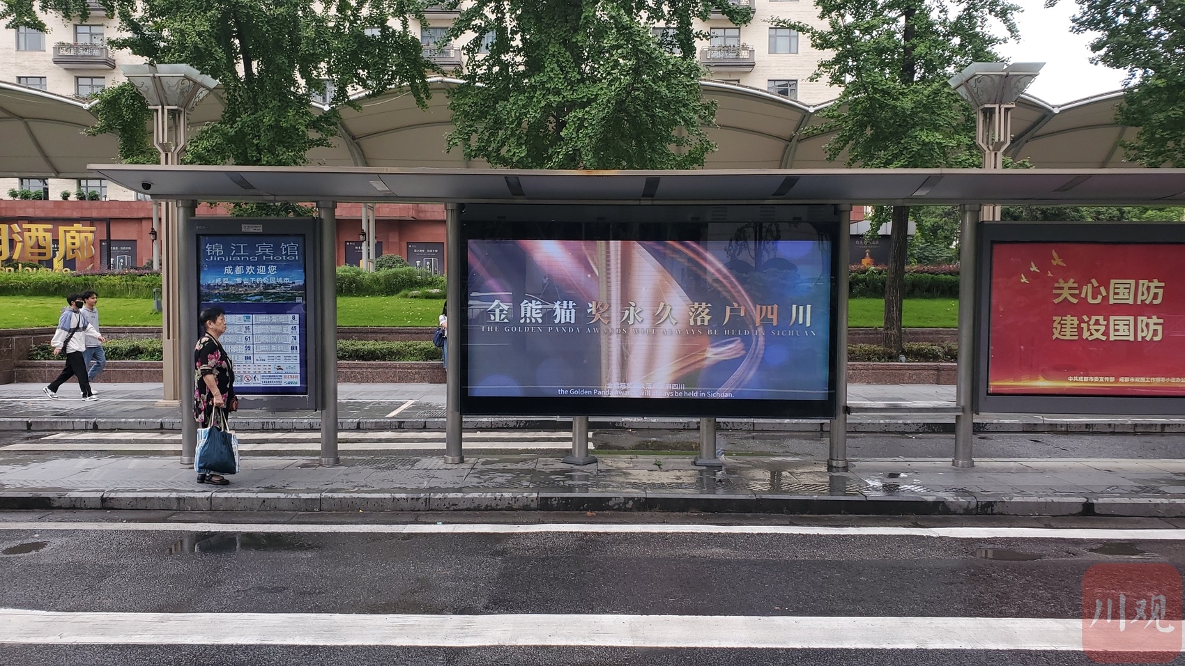 （轉載）注意！成都街頭有大量“金熊貓”出沒