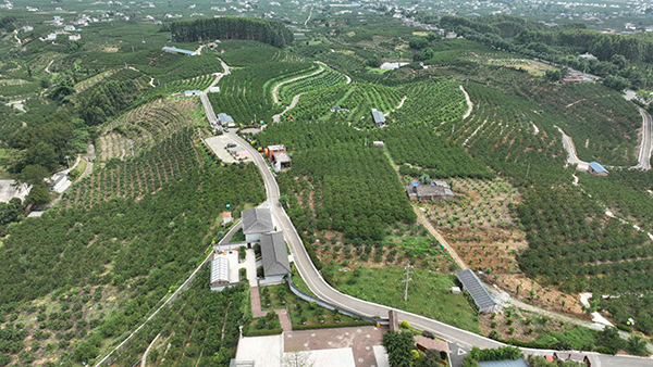 眉山丹棱：農村路網越織越密 農業産業越做越強_fororder_航拍道路農村道路-供圖-丹棱縣委宣傳部