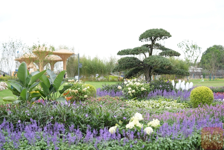 （轉載）逛2023成都花展 40余個花園等你一一打卡