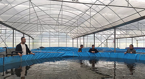 簡陽這裡的特色水産躍入振興“龍門”_fororder_鴨嘴魚-供圖-簡陽市融媒體中心