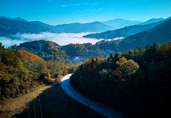 綿陽平武：晨霧繚繞美如畫 山鄉冬日勝春景_fororder_DJI_20231117100630_0276_D_副本
