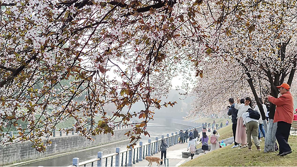 @成都市民 “最美公園”邀你投票_fororder_未標題-2
