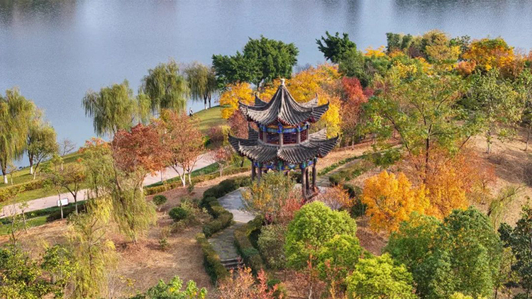 眉山仁壽：半是秋景半是冬_fororder_仁壽美景-供圖--仁壽融媒體中心