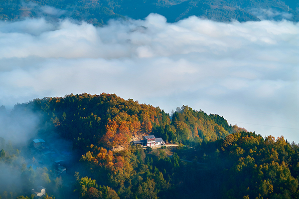 綿陽平武：晨霧繚繞美如畫 山鄉冬日勝春景_fororder_DJI_20231117094408_0231_D_副本